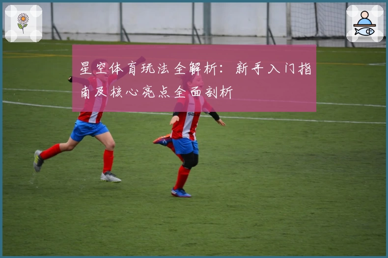 星空体育玩法全解析：新手入门指南及核心亮点全面剖析
