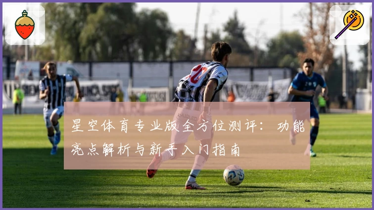 星空体育专业版全方位测评：功能亮点解析与新手入门指南