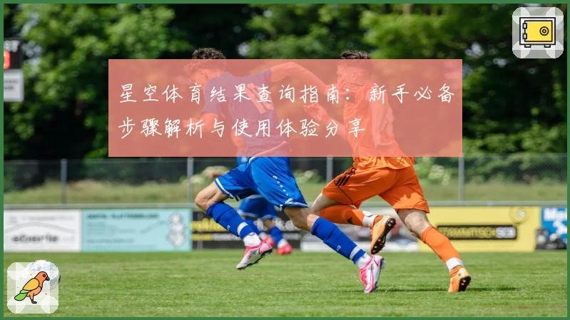 星空体育结果查询指南：新手必备步骤解析与使用体验分享